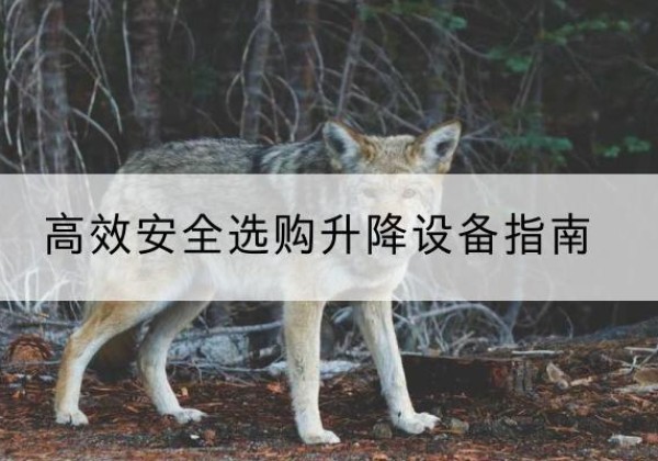 鄄城升降货梯厂家推荐-*安全选购升降设备指南