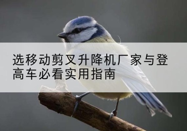 鄄城电动升降机厂家-选移动剪叉升降机厂家与登高车必看实用指南