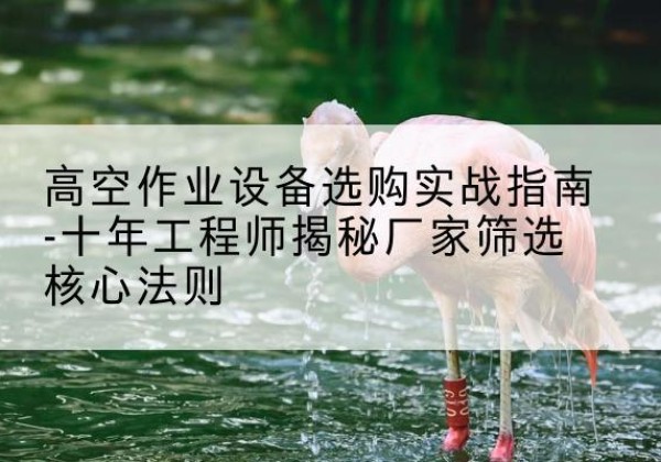 鄄城剪叉式升降机厂家-高空作业设备选购实战指南-十年工程师揭秘厂家筛选核心法则