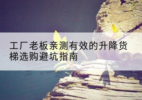 鄄城升降货梯怎么选-工厂老板亲测有效的升降货梯选购避坑指南